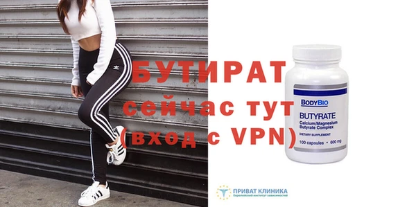 сатива Новозыбков