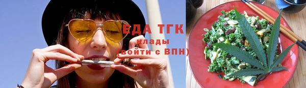 сатива Новозыбков