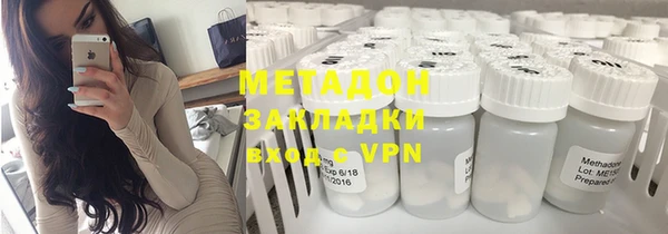 сатива Новозыбков