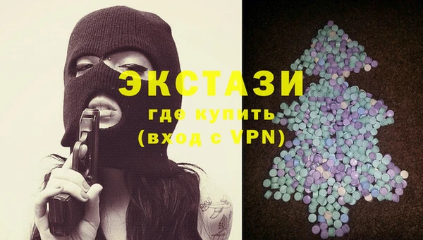 сатива Новозыбков