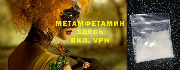 сатива Новозыбков