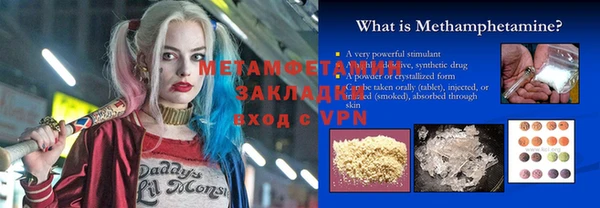 сатива Новозыбков