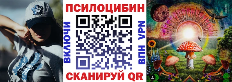 omg зеркало Острогожск Псилоцибиновые грибы Cubensis