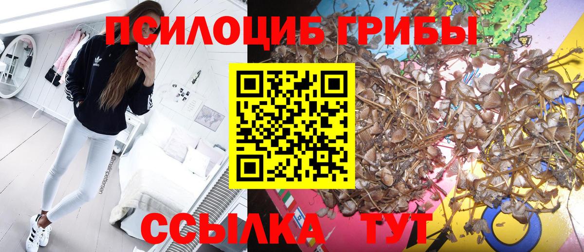 дарнет шоп  Псилоцибиновые грибы Magic Shrooms  Вход с VPN  Острогожск 