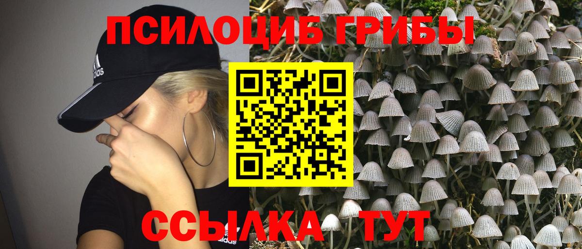 Острогожск  Псилоцибиновые грибы прущие грибы  Вход с VPN 