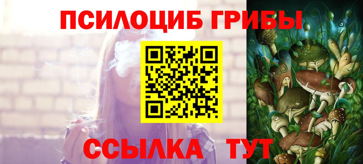 Галлюциногенные грибы прущие грибы Острогожск